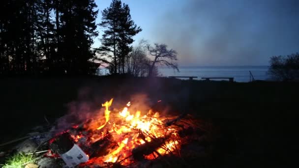Tábortűz pogány ünnep Lettország Midsummer night Ligo — Stock videók