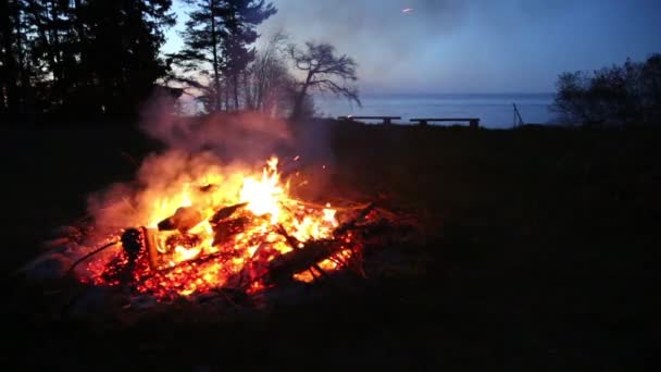 Campfire pagan holiday latvia Midsummer night Ligo — Stock Video
