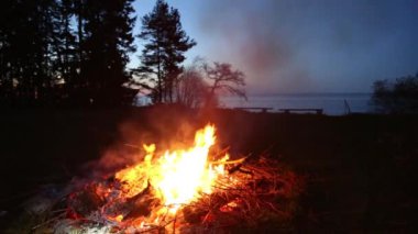 kamp ateşi pagan tatil Letonya yaz gecesi Ligo