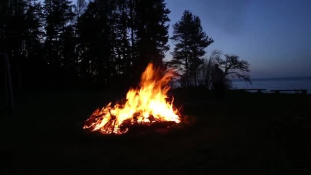 Campfire ειδωλολατρική διακοπές Λετονία καλοκαιρινής νύχτας λιγο — Αρχείο Βίντεο