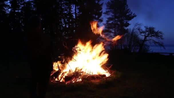 모닥불이 교도 휴일 라트비아 한여름 밤 리고 — 비디오