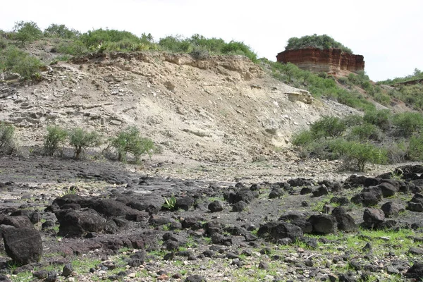 Sabana africana verano pictrures safari salvaje Tanzania Ruanda Botswana Kenia — Foto de Stock