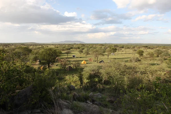 Afrikai szavanna nyári pictrures vad szafari Tanzániában Ruanda Botswana, Kenya Jogdíjmentes Stock Képek