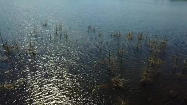 Sauriesi 湖空中无人机顶部查看 4 k 到视频拉脱维亚 — 图库视频影像