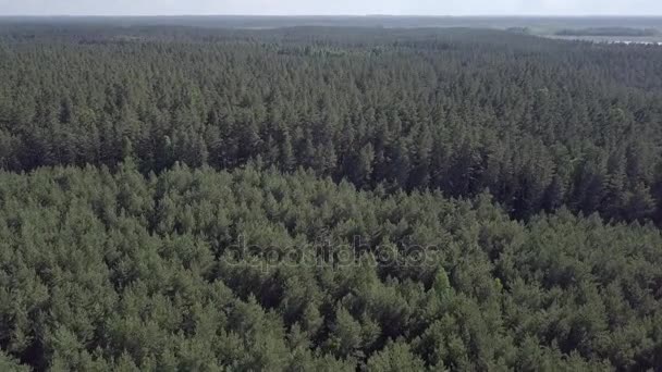 Engure Lettonie Vue aérienne de la campagne drone vue du dessus 4K UHD vidéo 