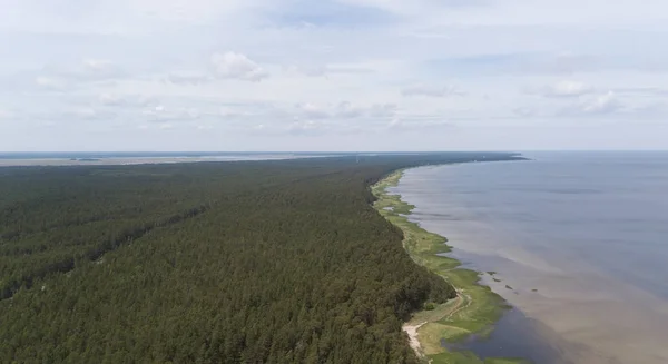 Engure Латвії пташиного польоту сільській місцевості drone вид зверху — стокове фото