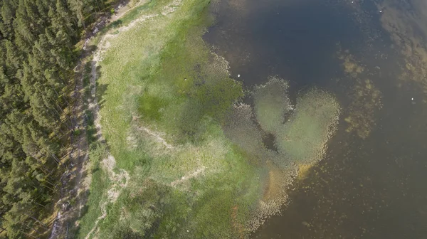 Engure Letonia Vista aérea del campo vista superior del dron — Foto de Stock