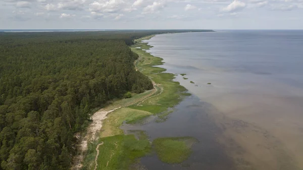 Engure Латвії пташиного польоту сільській місцевості drone вид зверху — стокове фото