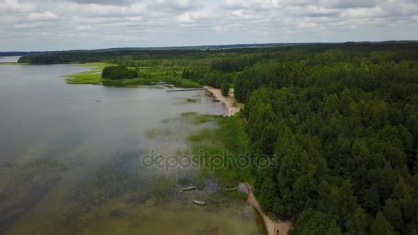 Plateliai lago Lituania Riserva Nazionale d'Acqua Aerea drone vista dall'alto 4K UHD video — Video Stock