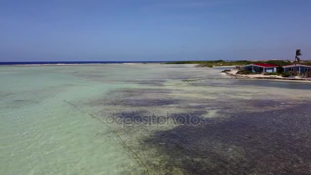 Bonaire Adası Karayip Denizi windsurf lagün Sorobon hava dron üstten görünüm 4k Uhd video — Stok video