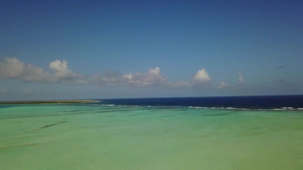 Bonaire insel karibisches meer windsurf lagune sorobon luft drohne top view 4k uhd video — Stockvideo