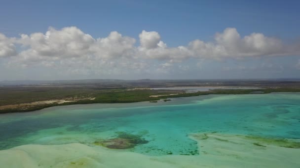 Остров Бонэйр Карибский морской виндсерфинг лагуна Sorobon воздушный беспилотник вид сверху 4K UHD видео — стоковое видео