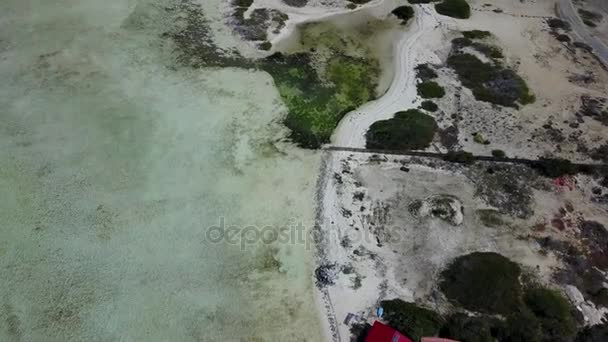 Bonaire isola Caraibi mare windsurf laguna Sorobon drone aereo vista dall'alto 4K UHD video — Video Stock