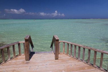 Bonaire Adası Karayip Denizi windsurf lagün Sorobon 