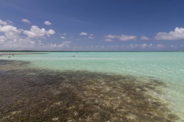 Bonaire Adası Karayip Denizi windsurf lagün Sorobon 