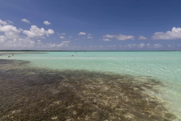 Bonaire Adası Karayip Denizi windsurf lagün Sorobon 