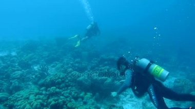 Dalış Karayip Denizi sualtı 1080 p video insanlar