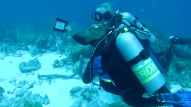 Dalış Karayip Denizi sualtı 1080 p video insanlar