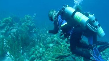 Dalış Karayip Denizi sualtı 1080 p video insanlar