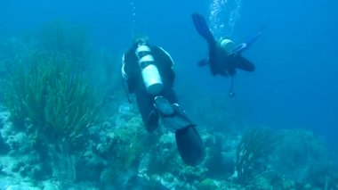 Dalış Karayip Denizi sualtı 1080 p video insanlar