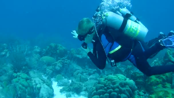 Människor dykning Karibiska havet undervattens 1080p-video — Stockvideo