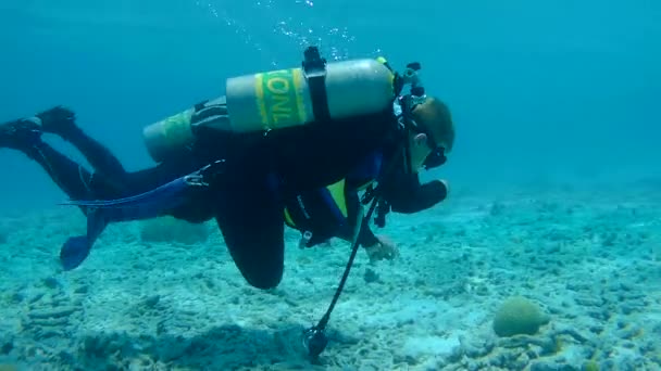 Pessoas mergulho caribbean mar subaquático 1080p vídeo — Vídeo de Stock