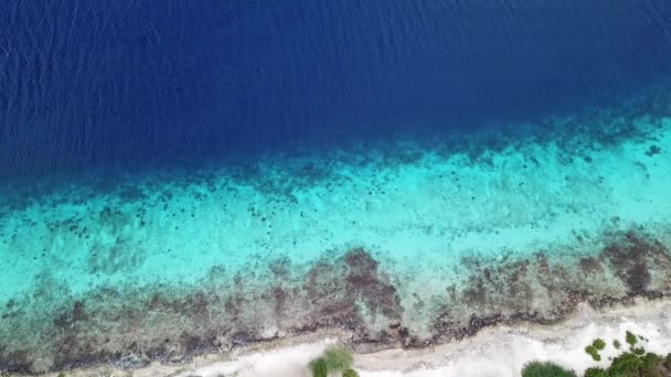 Havet stranden kusten Bonaire ön Karibiska havet video — Stockvideo