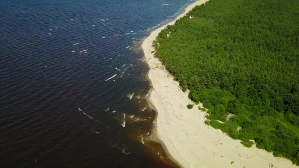 Gauja rivier Letland afvoer in Oostzee luchtfoto drone bovenaanzicht 4k Uhd video — Stockvideo