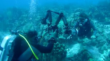 Dalış Karayip Denizi sualtı 1080 p video insanlar