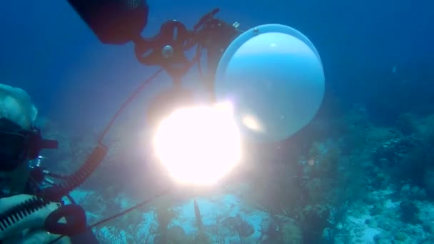 Personas buceo caribe mar bajo el agua 1080P video — Vídeo de stock