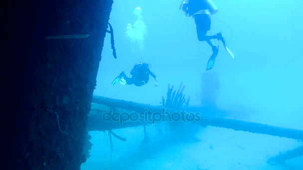 Personas buceo caribe mar bajo el agua 1080P video — Vídeo de stock
