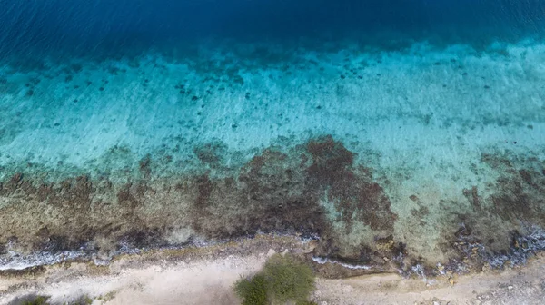 海岸ビーチ ボネール島カリブ海 — ストック写真