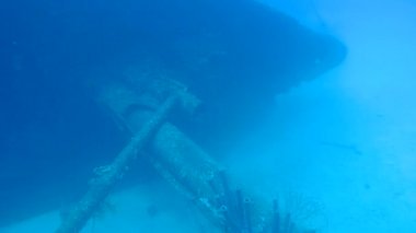 gemi enkazı Hilma fahişe Bonaire Adası Karayip Denizi sualtı 1080p video