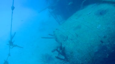gemi enkazı Hilma fahişe Bonaire Adası Karayip Denizi sualtı 1080p video