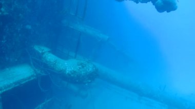 gemi enkazı Hilma fahişe Bonaire Adası Karayip Denizi sualtı 1080p video