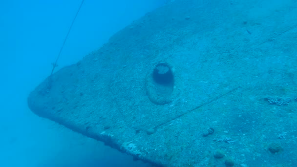 Vrak lodi Hilma Hooker Bonaire ostrov Karibského moře pod vodou 1080p videa — Stock video