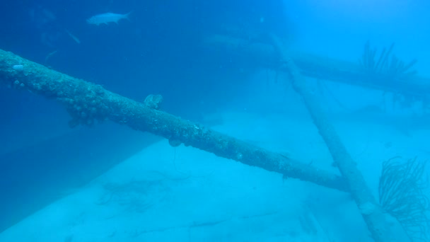 Naufragio Hilma Hooker Bonaire isla caribeña mar bajo el agua 1080P video — Vídeos de Stock