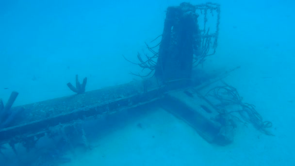 Bateau épave Hilma Hooker Bonaire île Caraïbes mer sous marin 1080P vidéo — Video