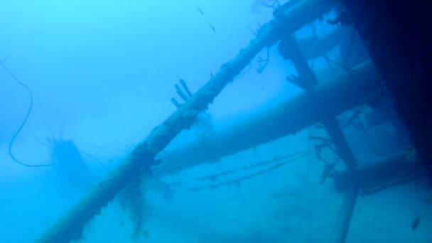 Navio naufrágio Hilma Hooker Bonaire ilha caribenha mar subaquático 1080p vídeo — Vídeo de Stock