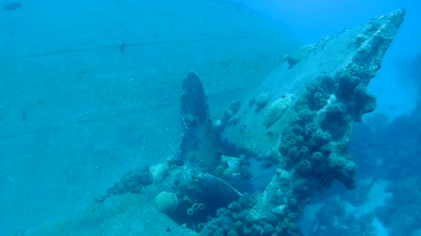 Vrak lodi Hilma Hooker Bonaire ostrov Karibského moře pod vodou 1080p videa — Stock video