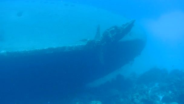 Bateau épave Hilma Hooker Bonaire île Caraïbes mer sous marin 1080P vidéo — Video