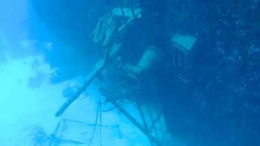 gemi enkazı Hilma fahişe Bonaire Adası Karayip Denizi sualtı 1080p video