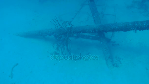 Vrak Hilma Hooker Bonaire ön Karibiska havet undervattens 1080p-video — Stockvideo