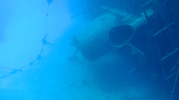 Schiffswrack hilma hooker bonaire insel karibisches meer unterwasser 1080p video — Stockvideo