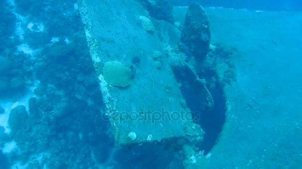 Schip wrak Hilma Hooker Bonaire eiland Caribische zee onderwater 1080p video — Stockvideo