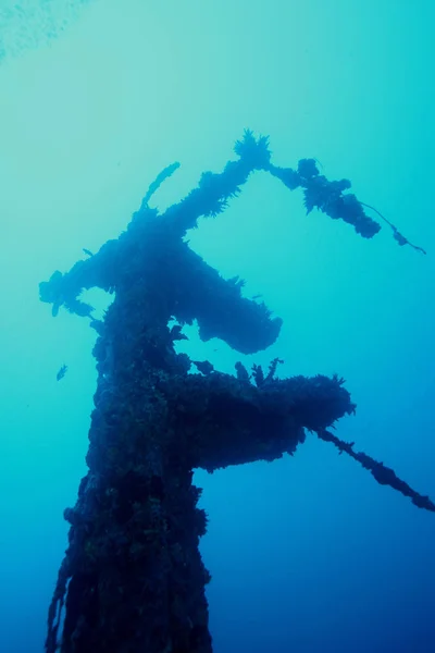 珊瑚生活在水下潜水探险加勒比海 — 图库照片