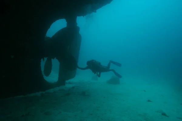 Vie corallienne plongée sous-marine safari Mer des Caraïbes — Photo