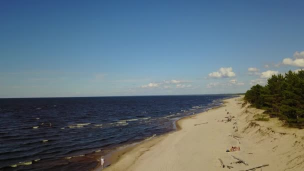 Gauja Fluss Lettland Abfluss Die Ostsee Antenne Drohne Draufsicht Uhd — Stockvideo