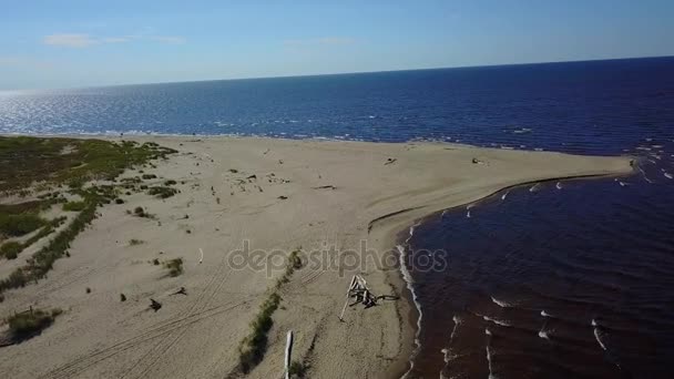 Gauja River Latvia Drain Baltic Sea Aerial Drone Top View — стоковое видео