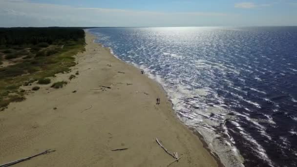 Gauja Fluss Lettland Abfluss Die Ostsee Antenne Drohne Draufsicht Uhd — Stockvideo